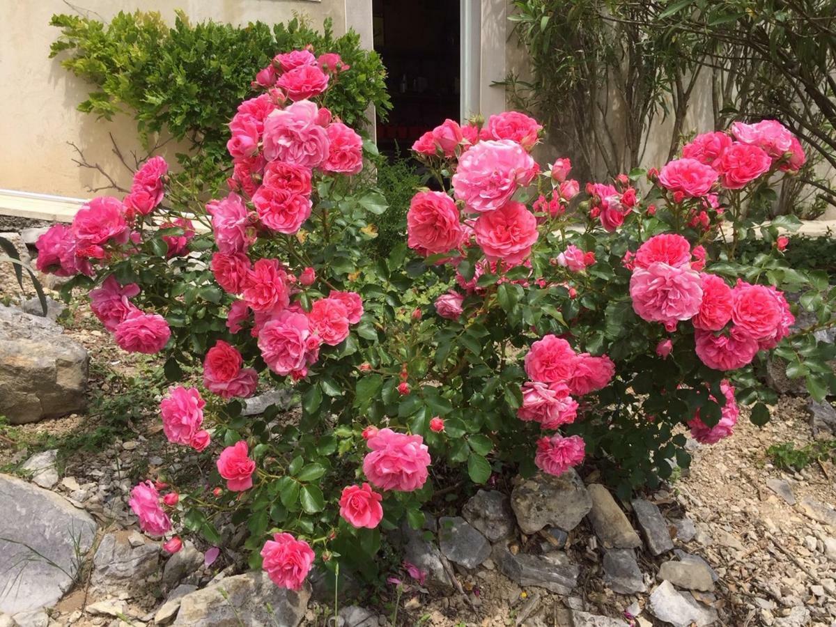 Bastide Saint-Thomé المظهر الخارجي الصورة